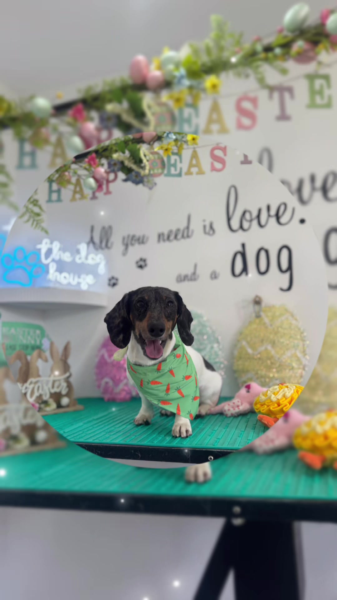 @PamperedPaws