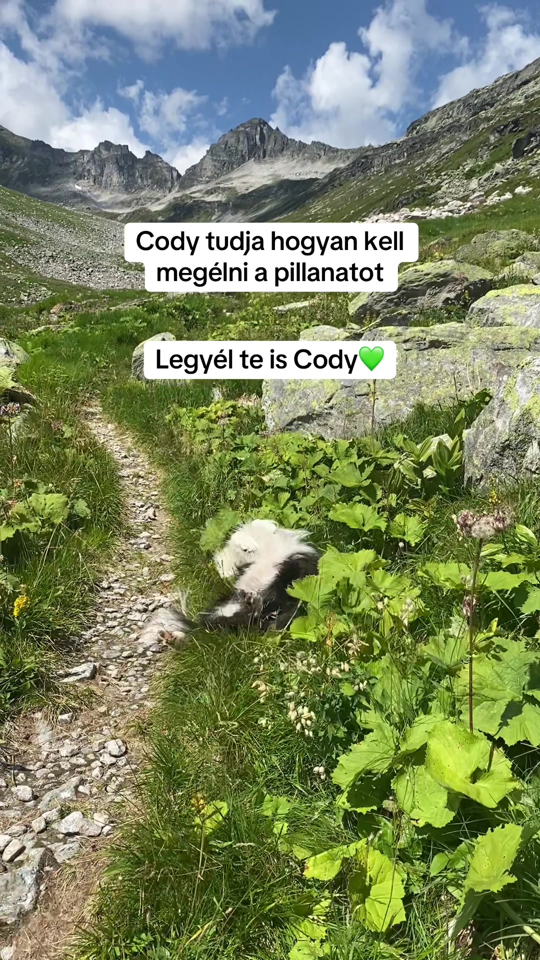 @Aktívan kutyával