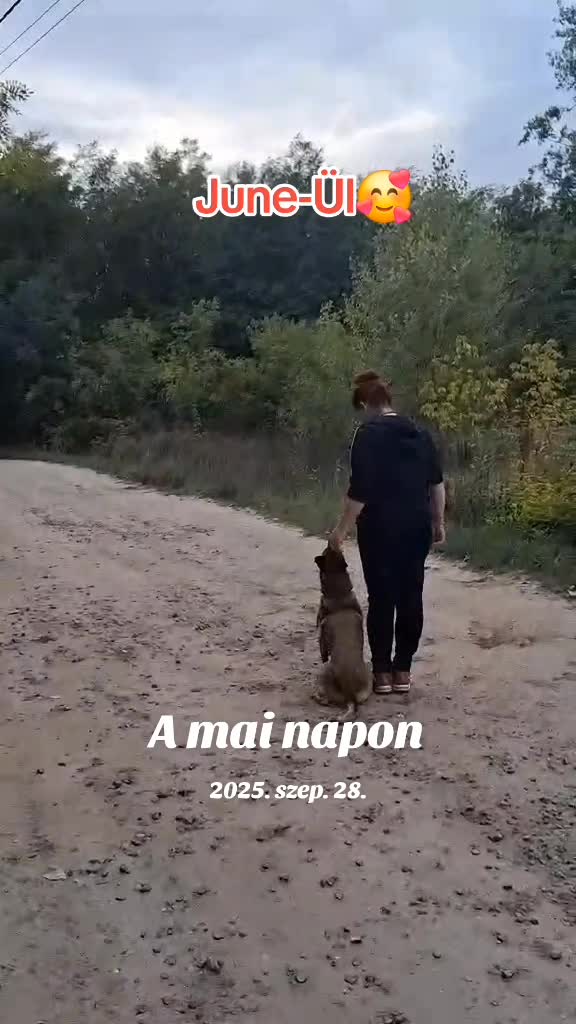 @Viki-Kutyakozmetika Másképp