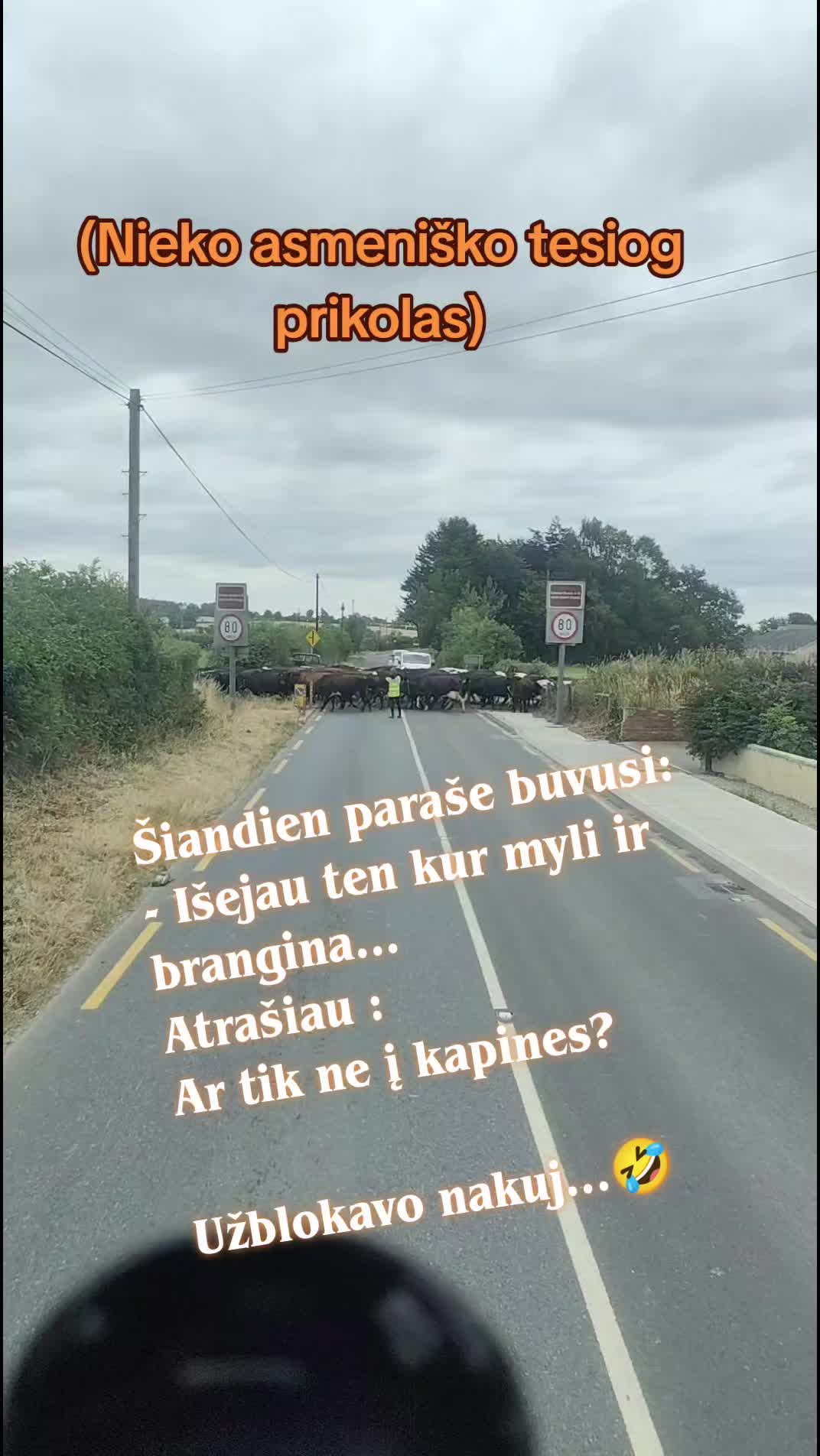 @🇱🇹Valdemarka🇮🇪-♓