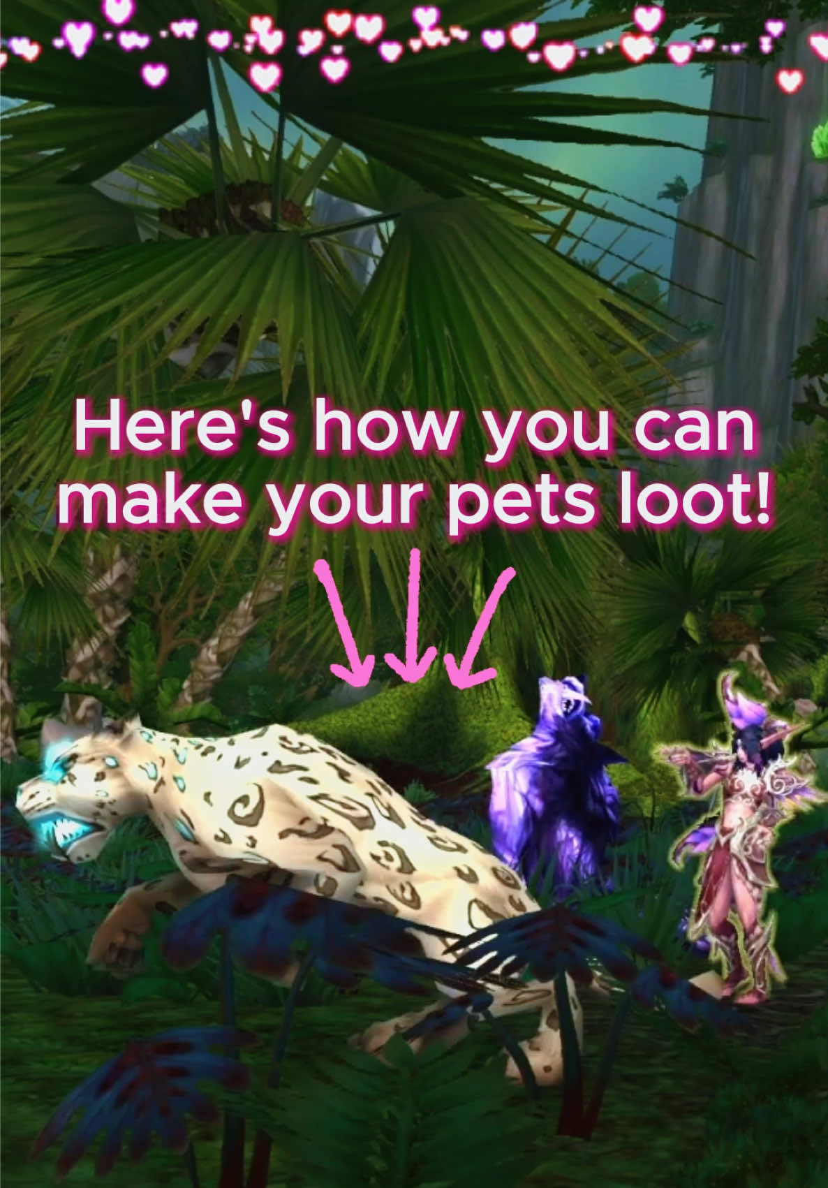 @TabbyKatGaming | WoW Guides