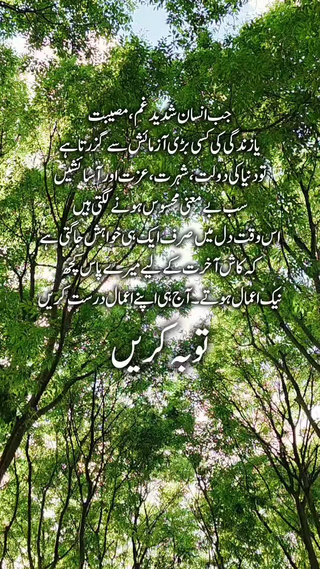 @Kainat Quotes