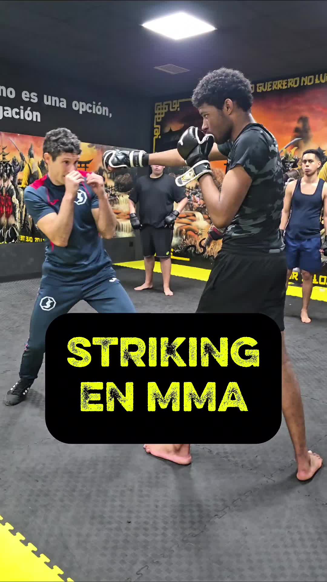 @Club Avilés MMA