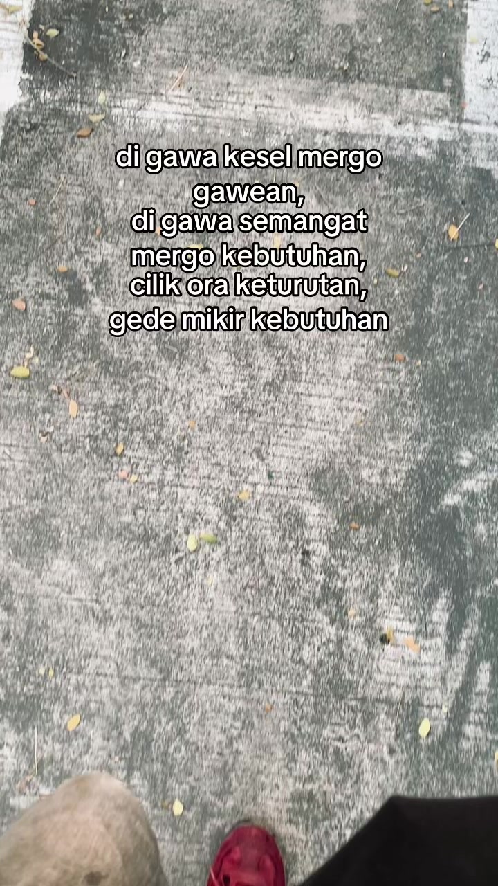 @MAULL