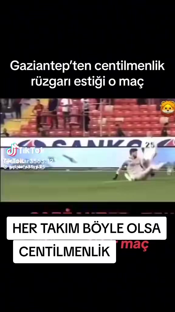 @Mehmet Kankaya27