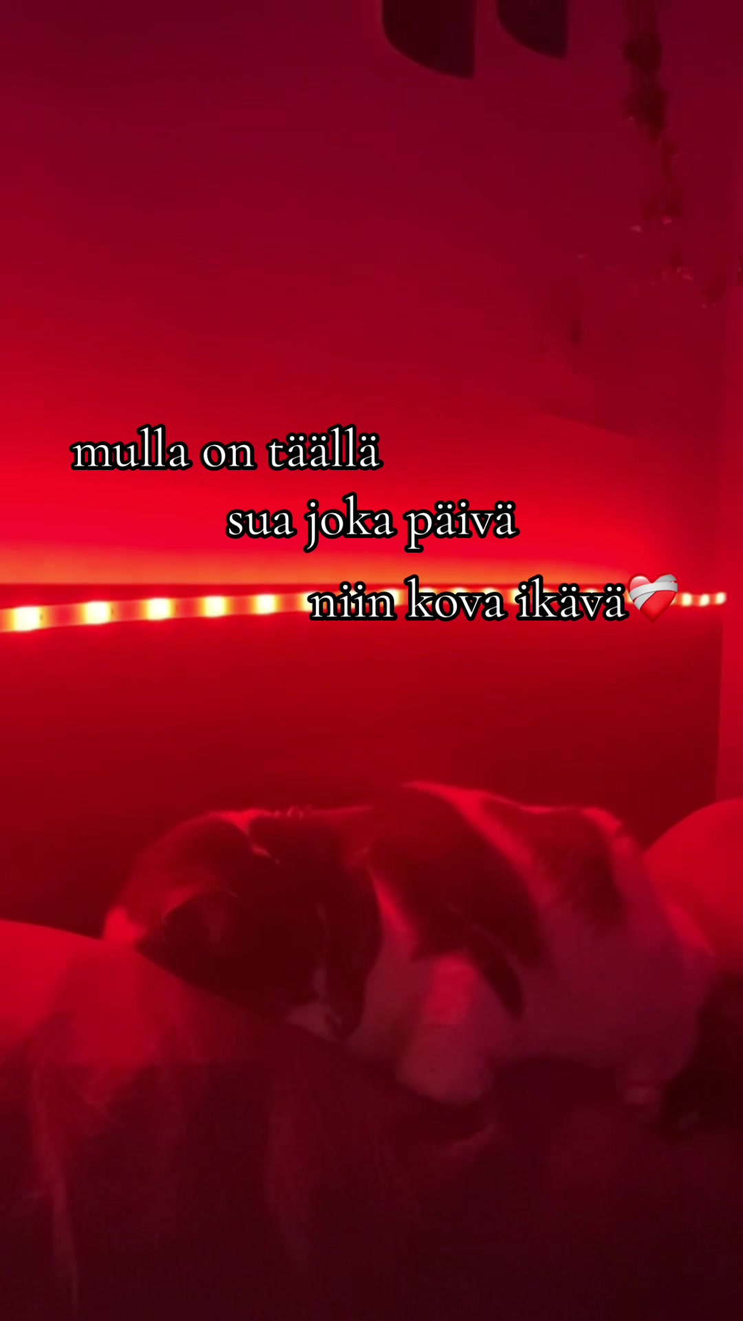 @ellu :3