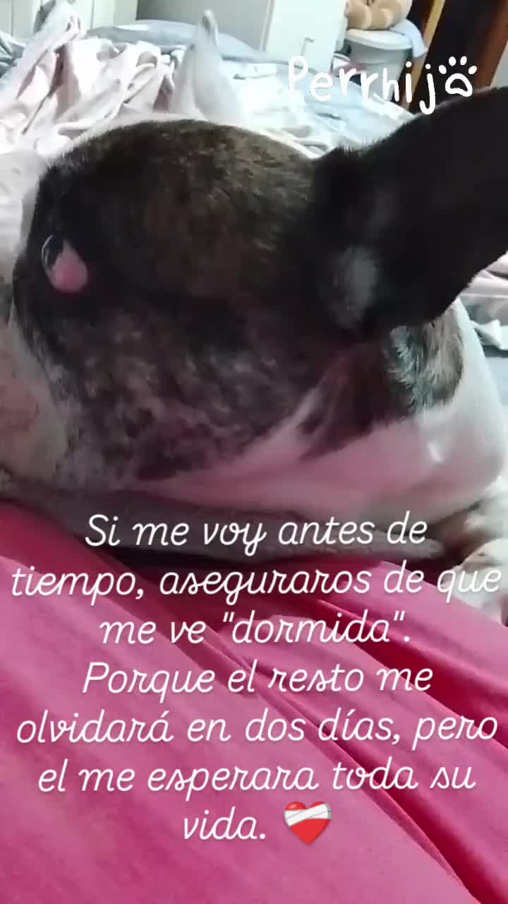 @Natalia