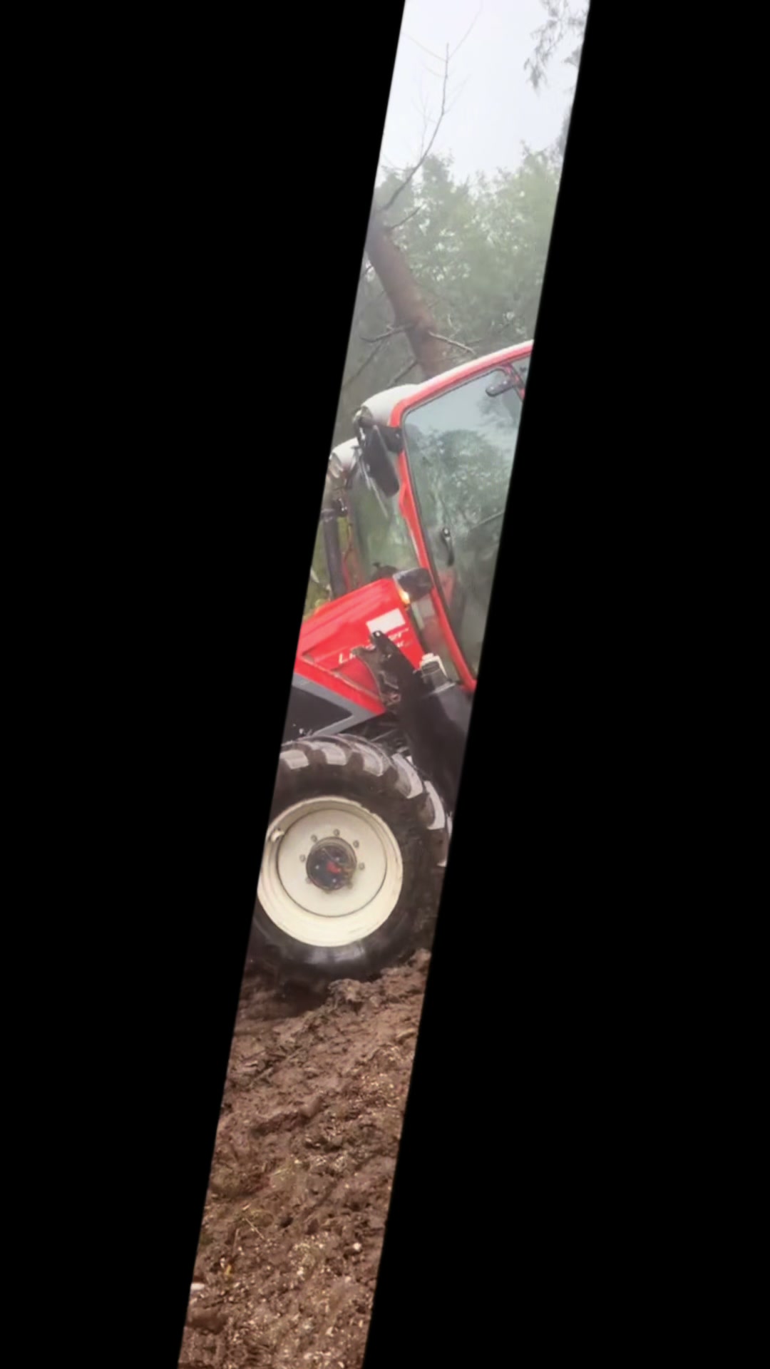 @Agrarius 🌲🇦🇹