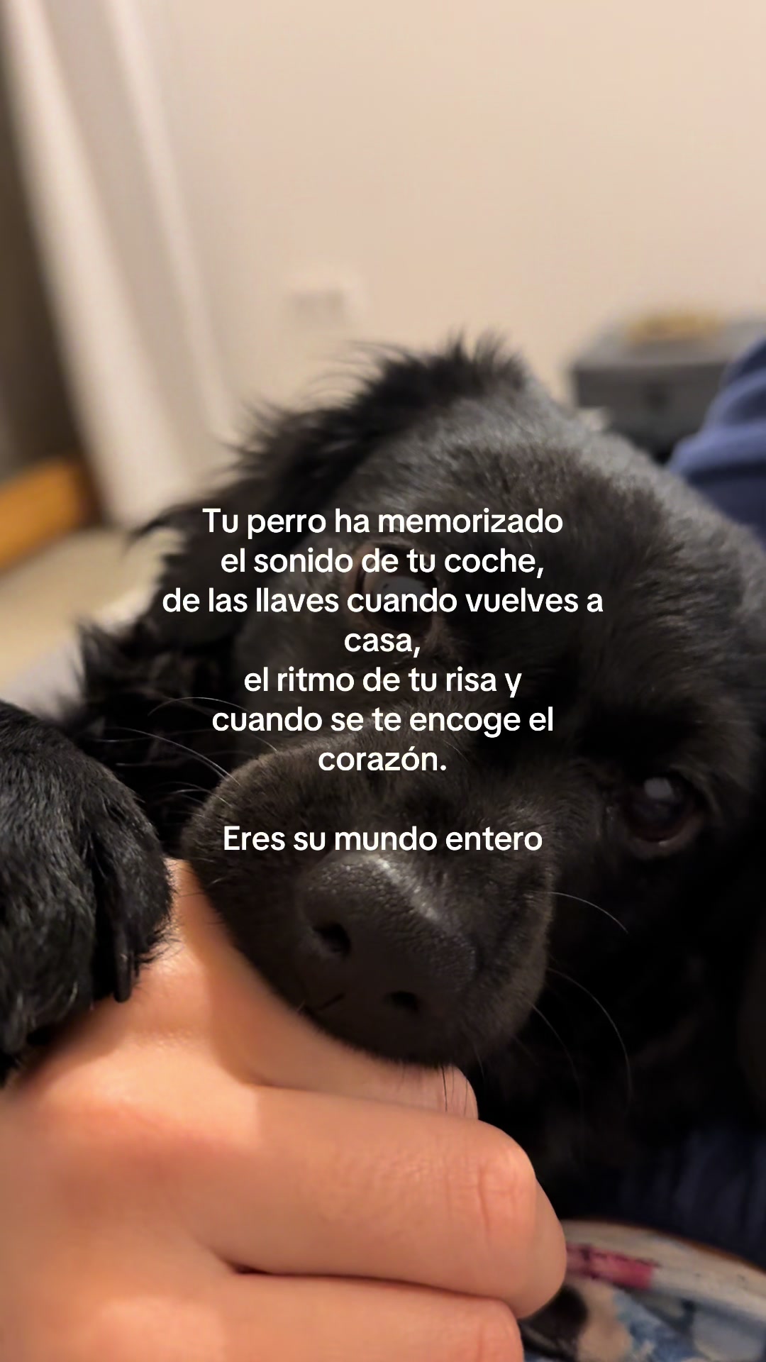 @María
