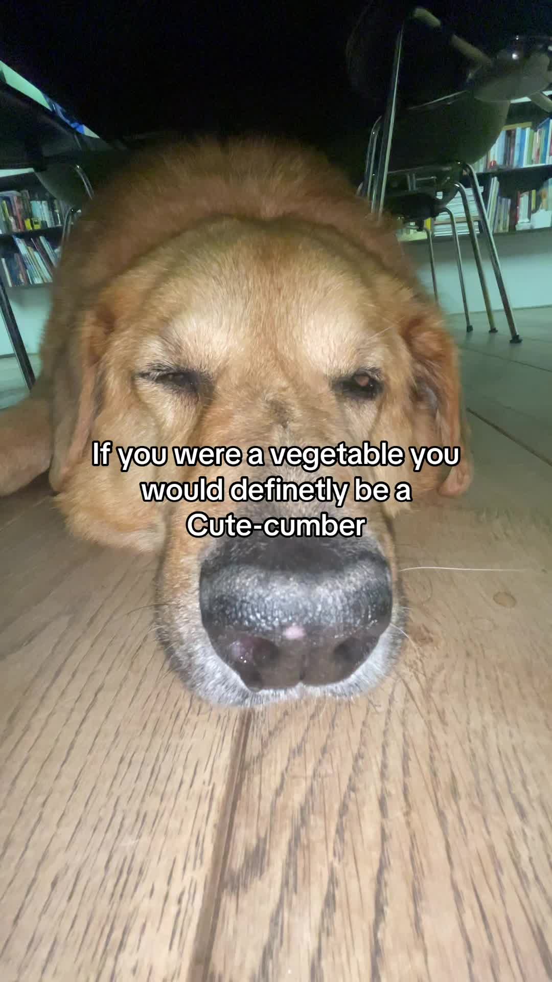 @Neo