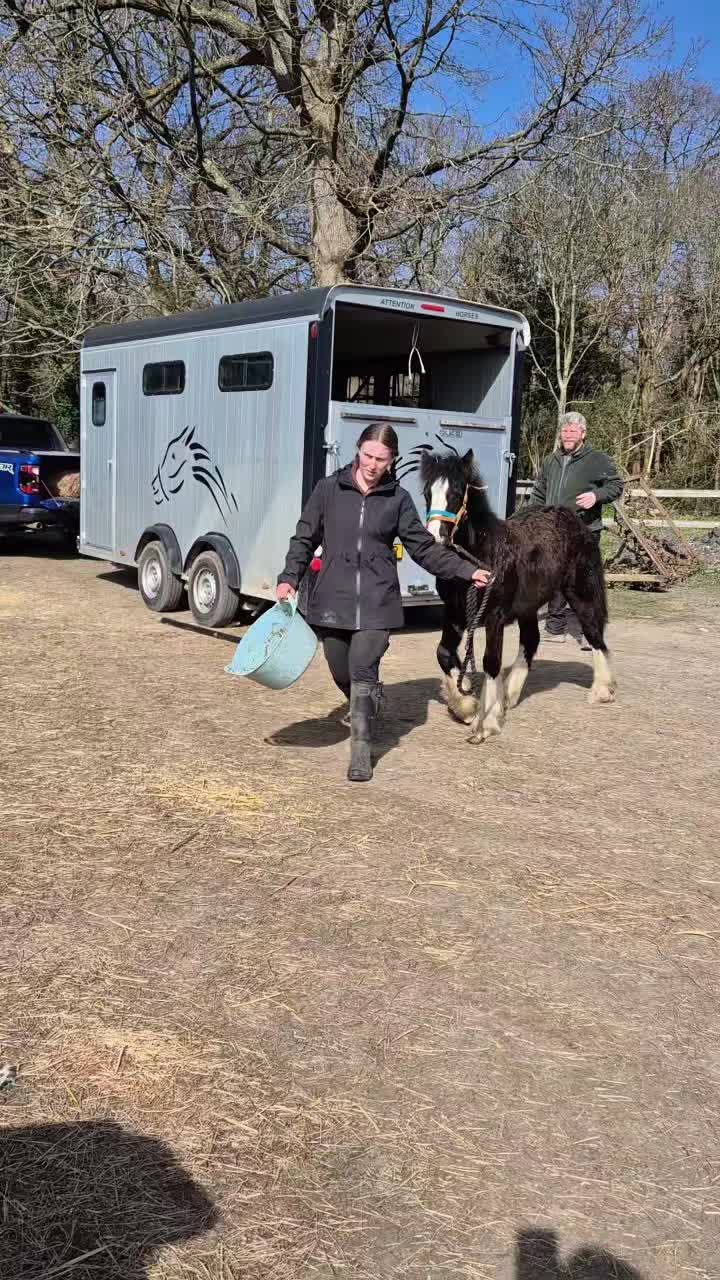 @Alfiepony