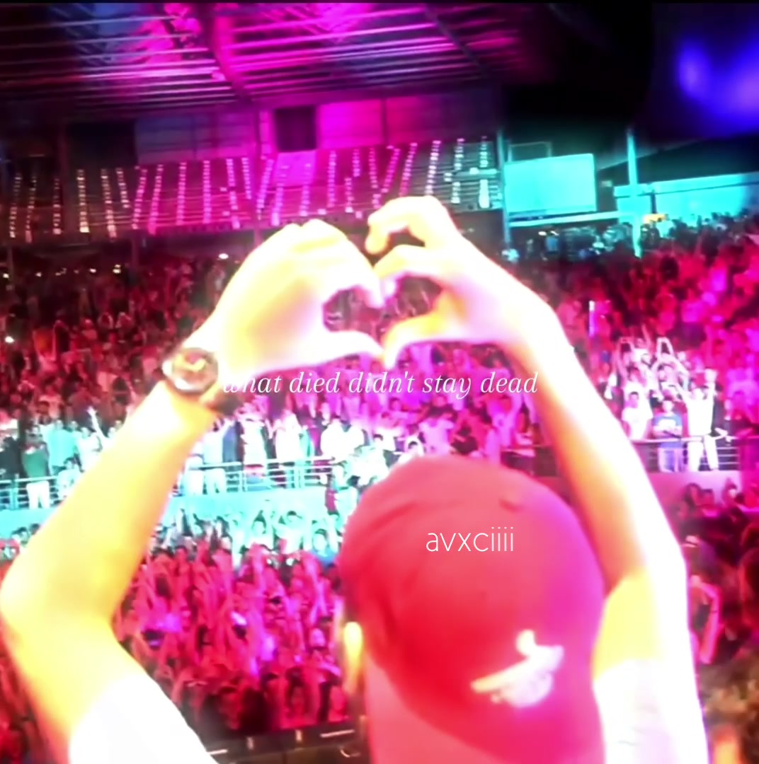 @avicii fan