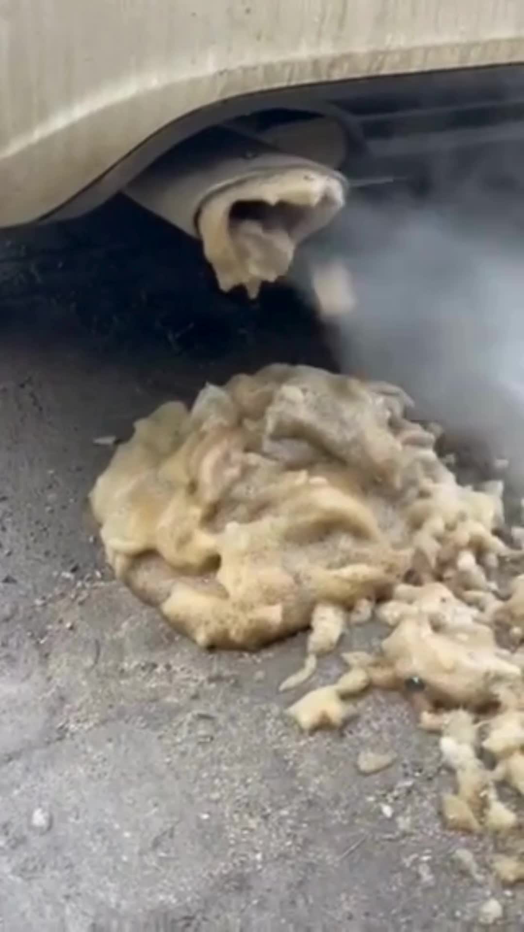 @Alberta DPF Clean