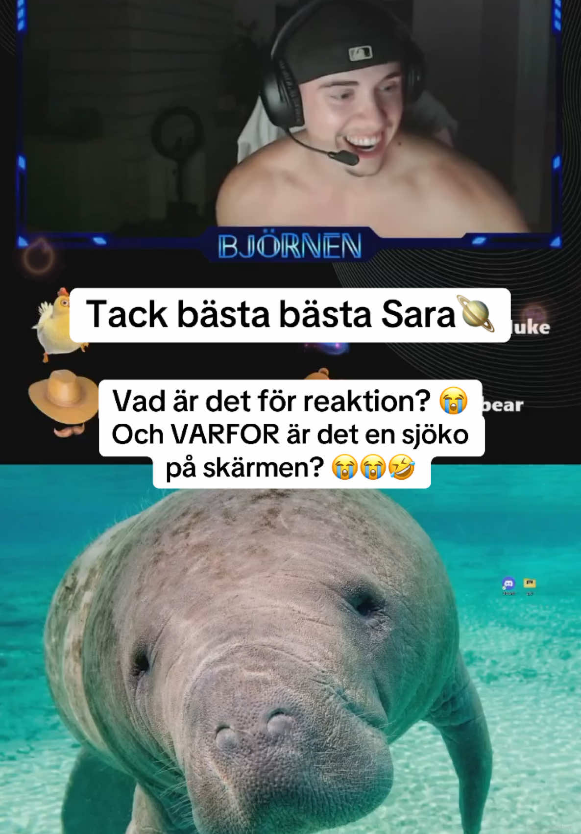 @Björnen