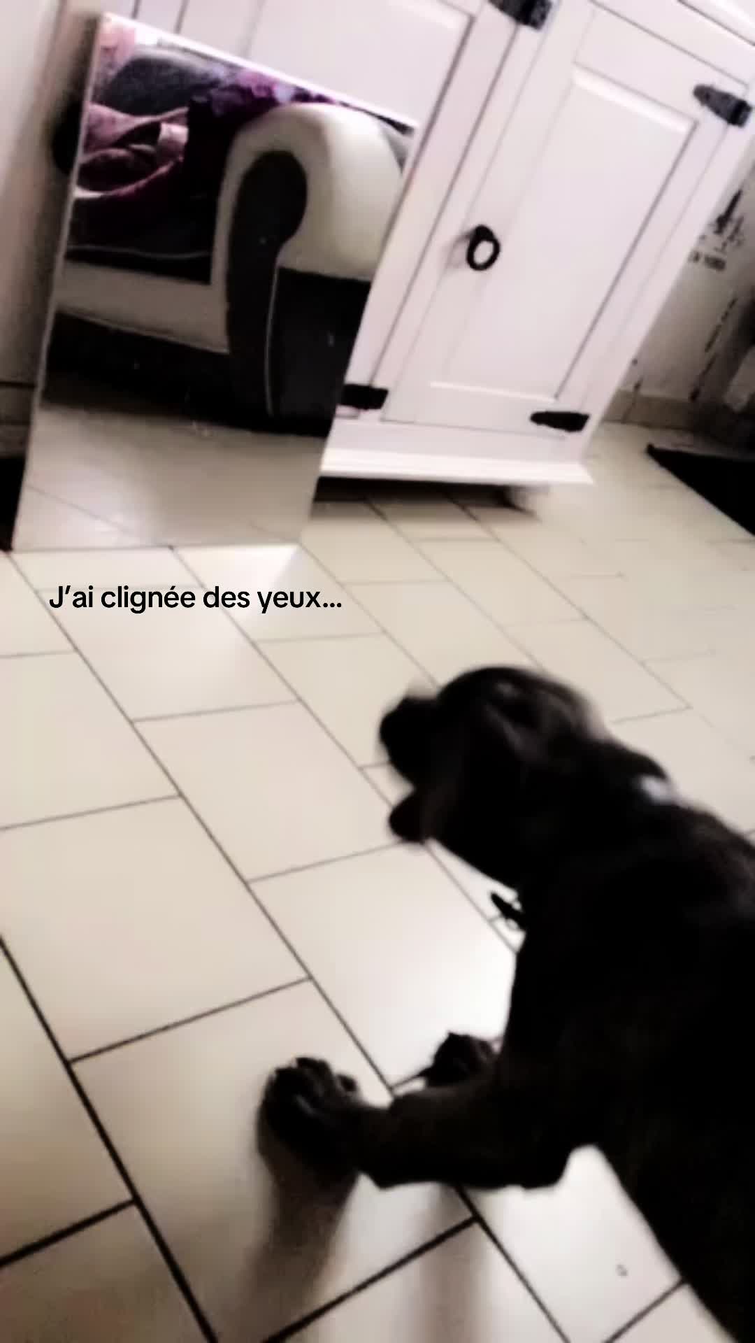@Lucile