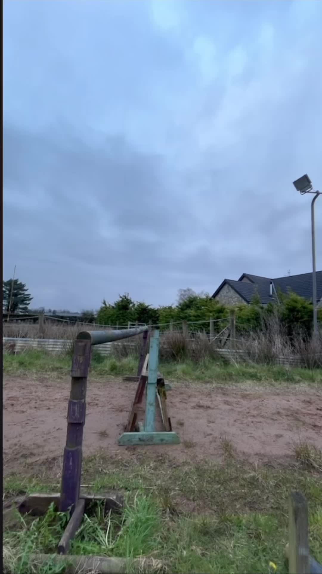 @Dara Conlon 🇮🇪