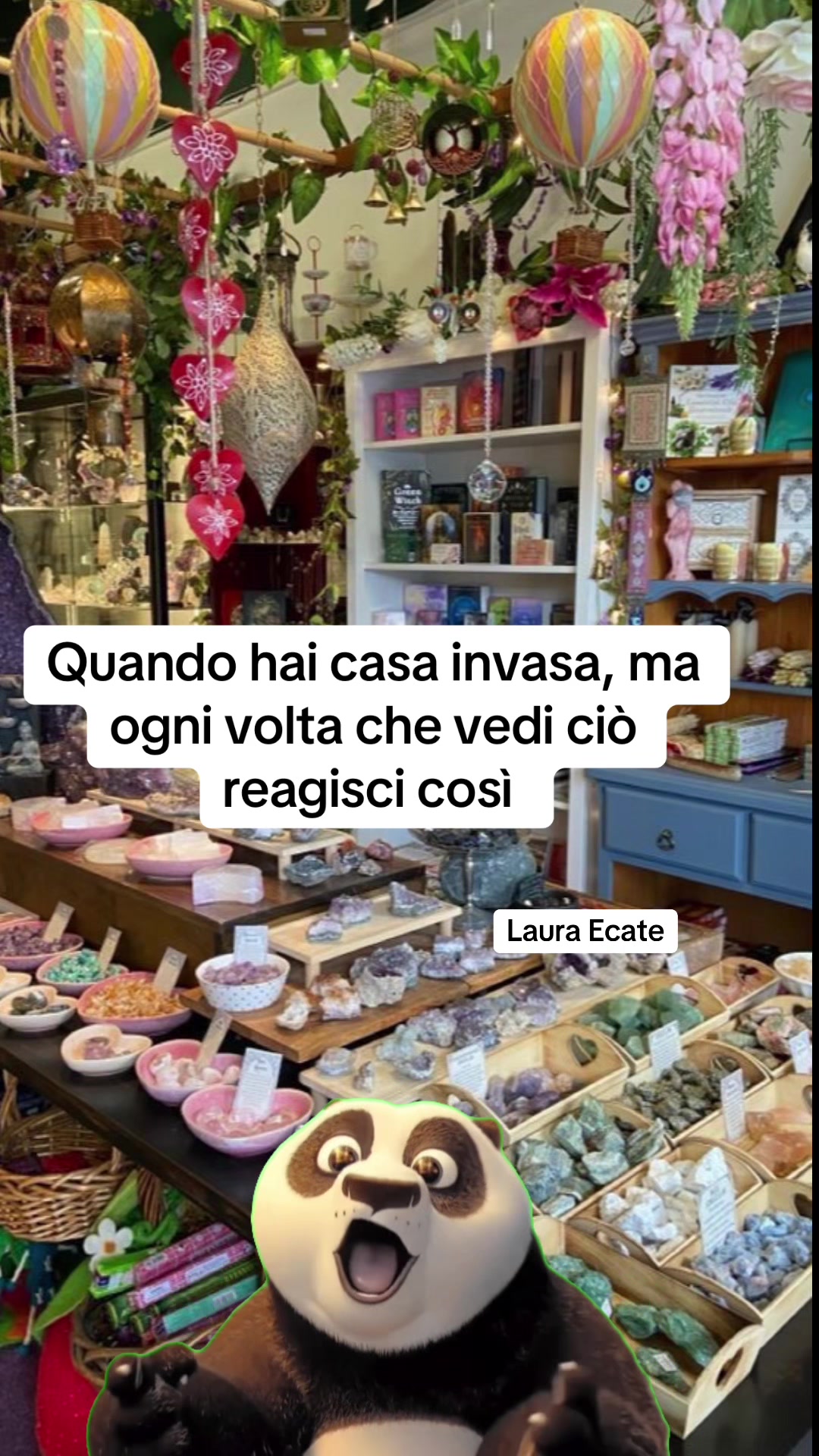 @Laura Ecate