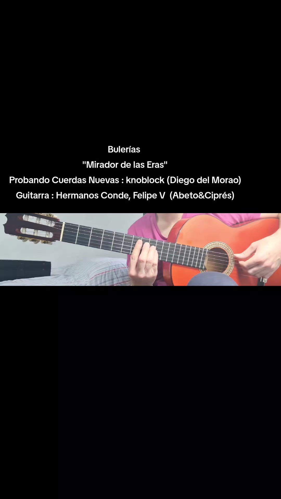 @¡GUITARRA FLAMENCA ONLINE!
