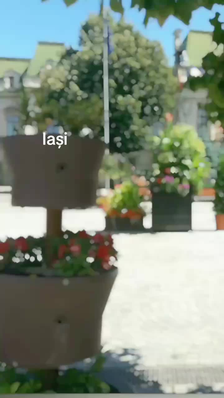 @Gino