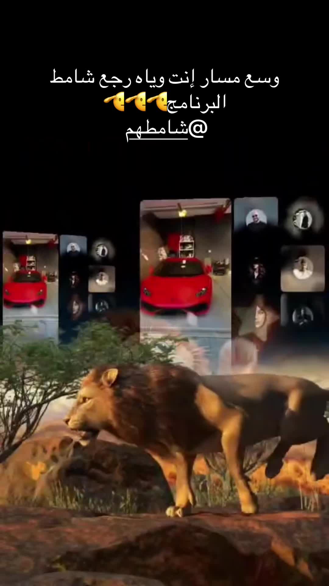 @بنت الوحش🧸