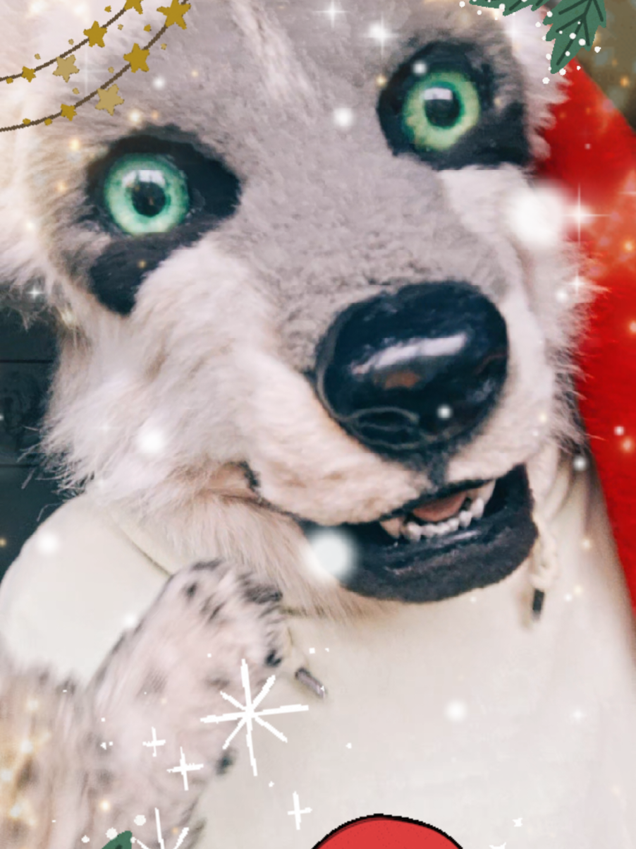 @ℂ/𝕃 🌟
