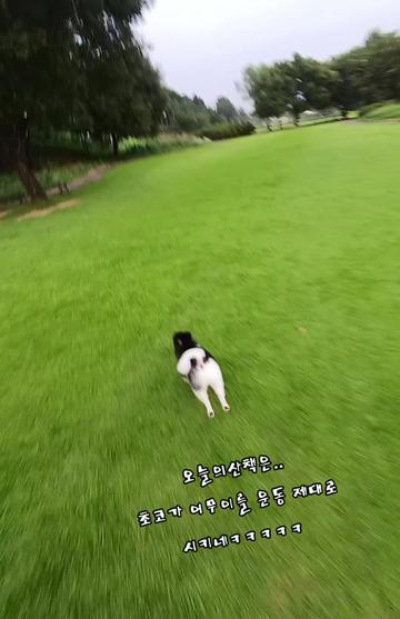 @୧⍣⃝ɷ초코ɞ୨