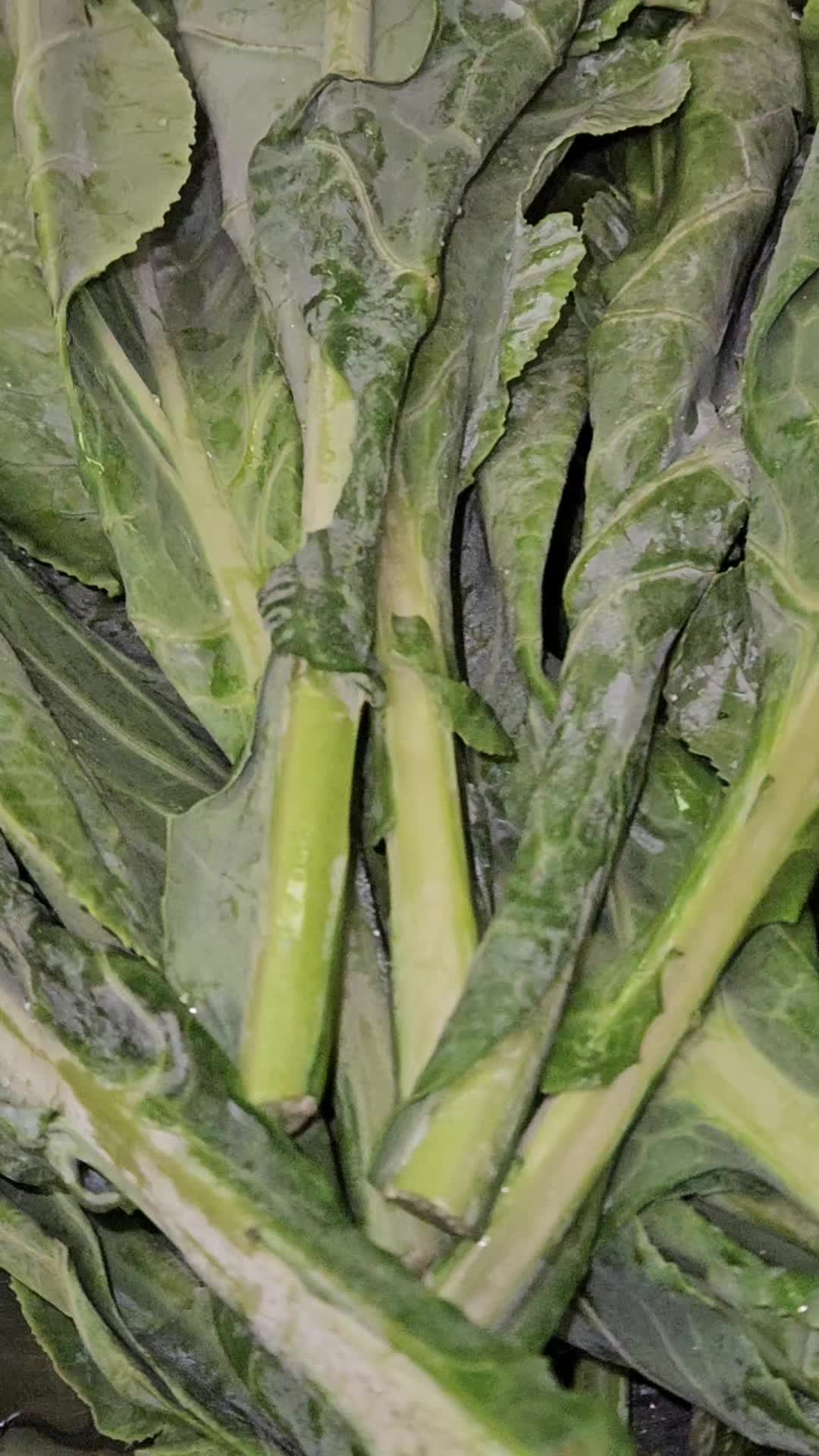 @TheCOokingDJ