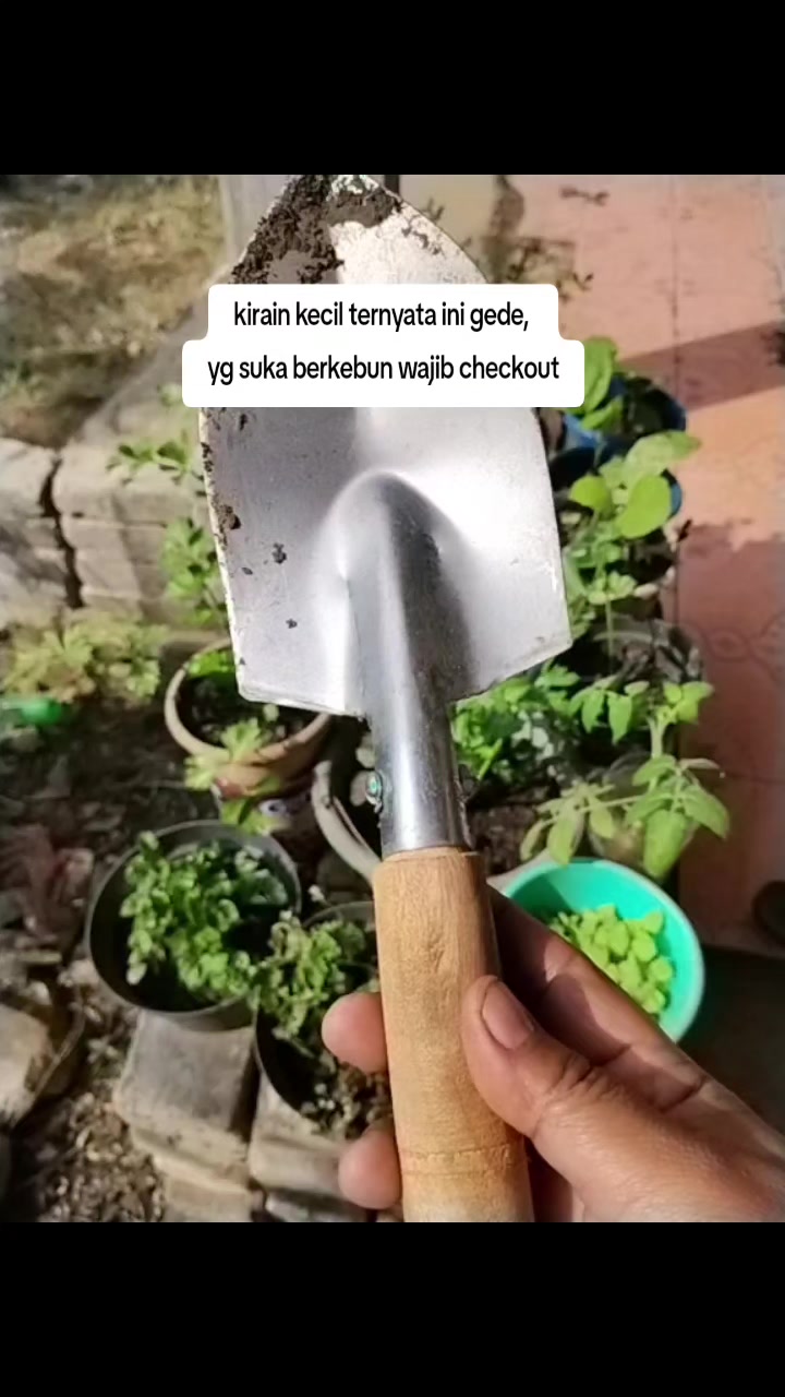 @Rastridd