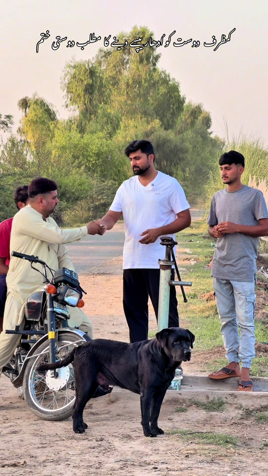 @Mr Salman Dhillon 786 🦅