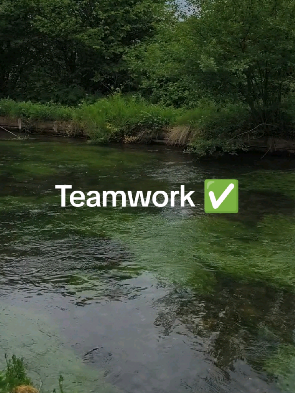 @Teamwork