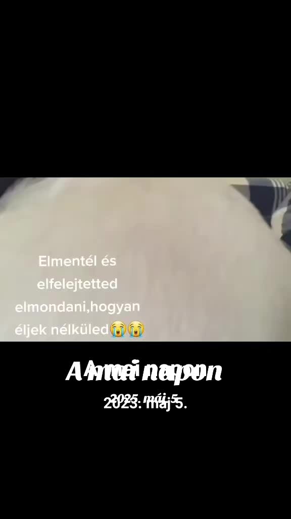 @Judit Katalin Pacz&aacute;r