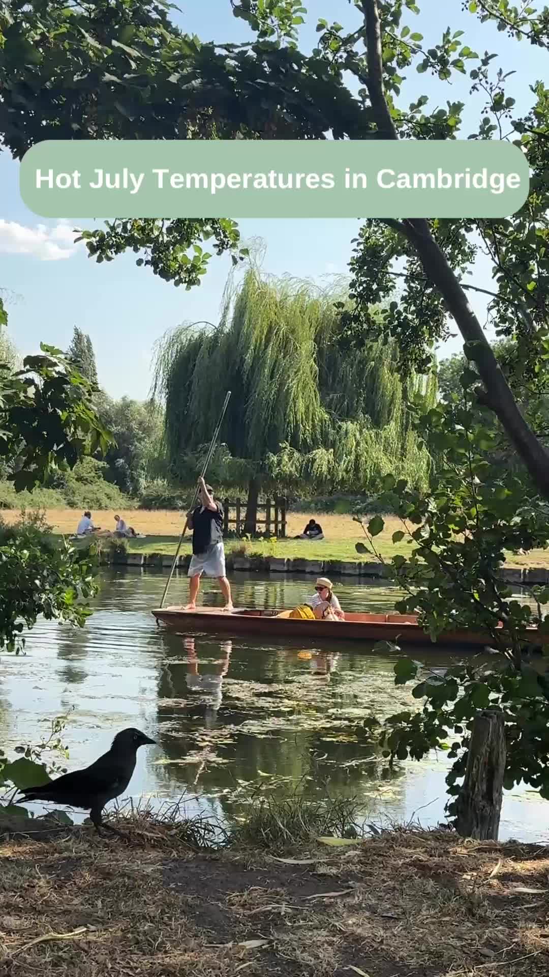 @CambridgeWanders