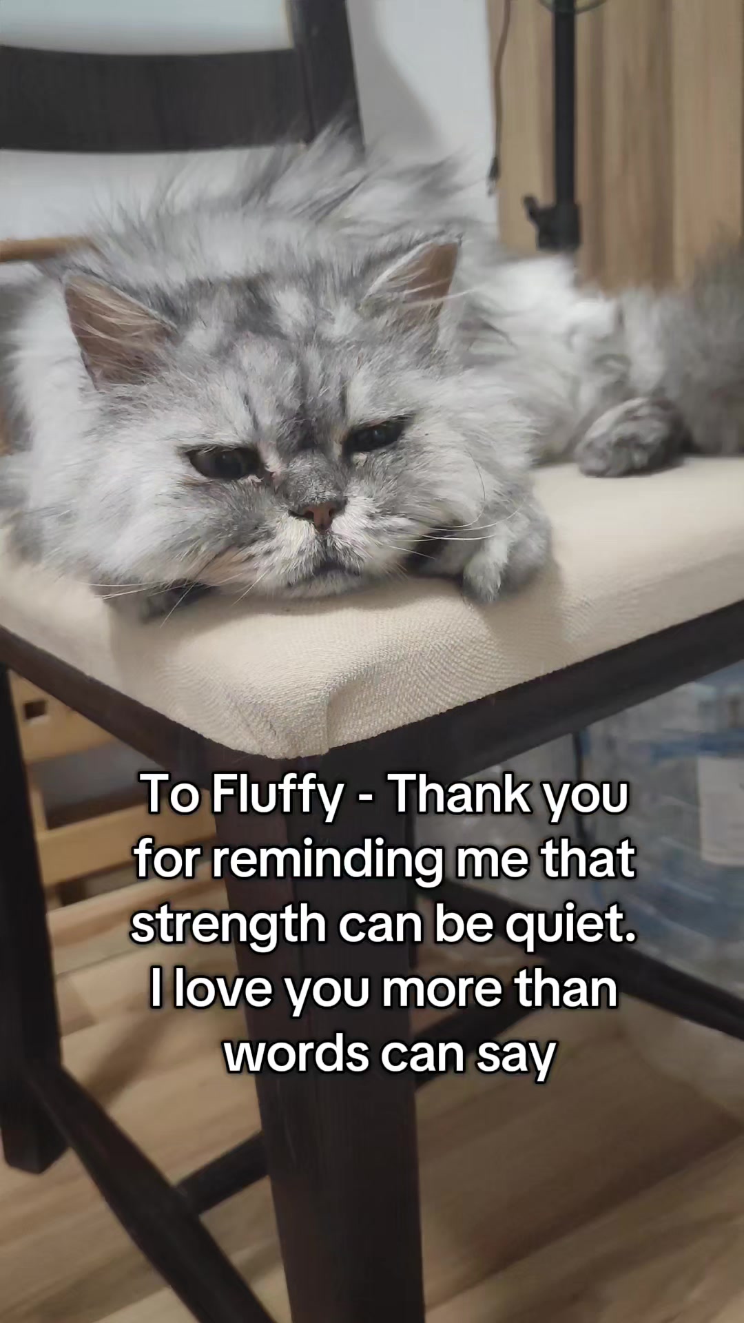 @Fluffy and Pixie