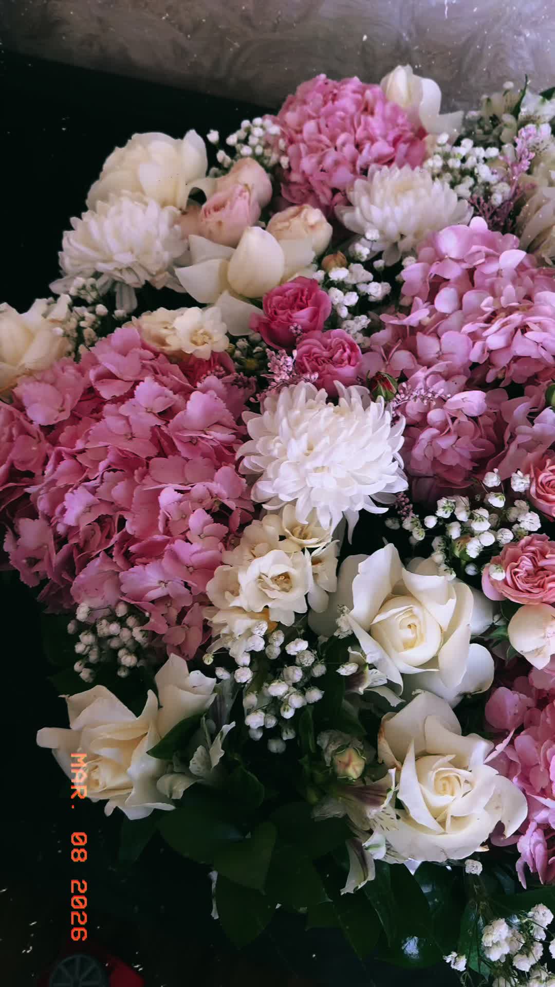 @bennu_cn