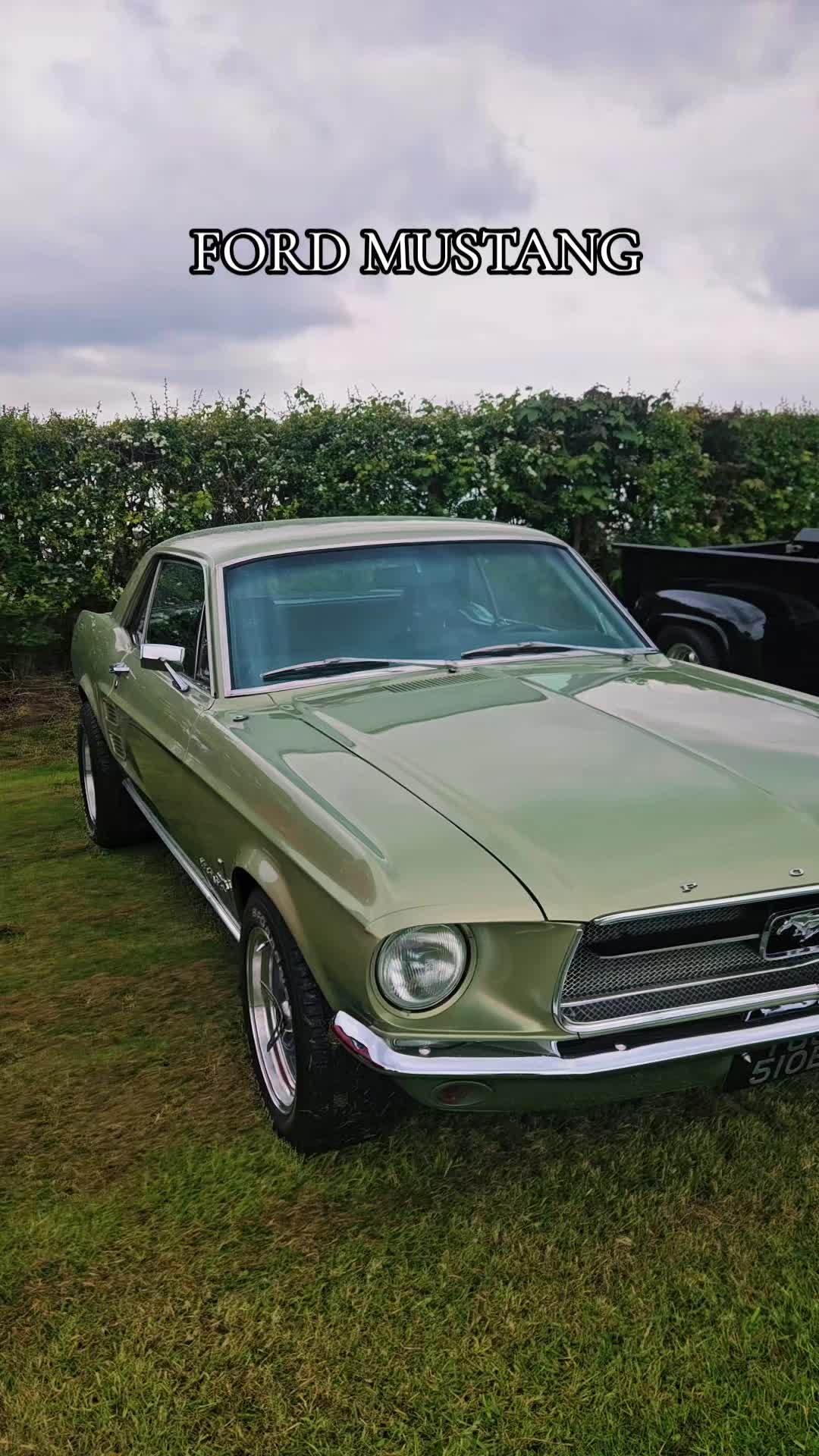 @MustangMack