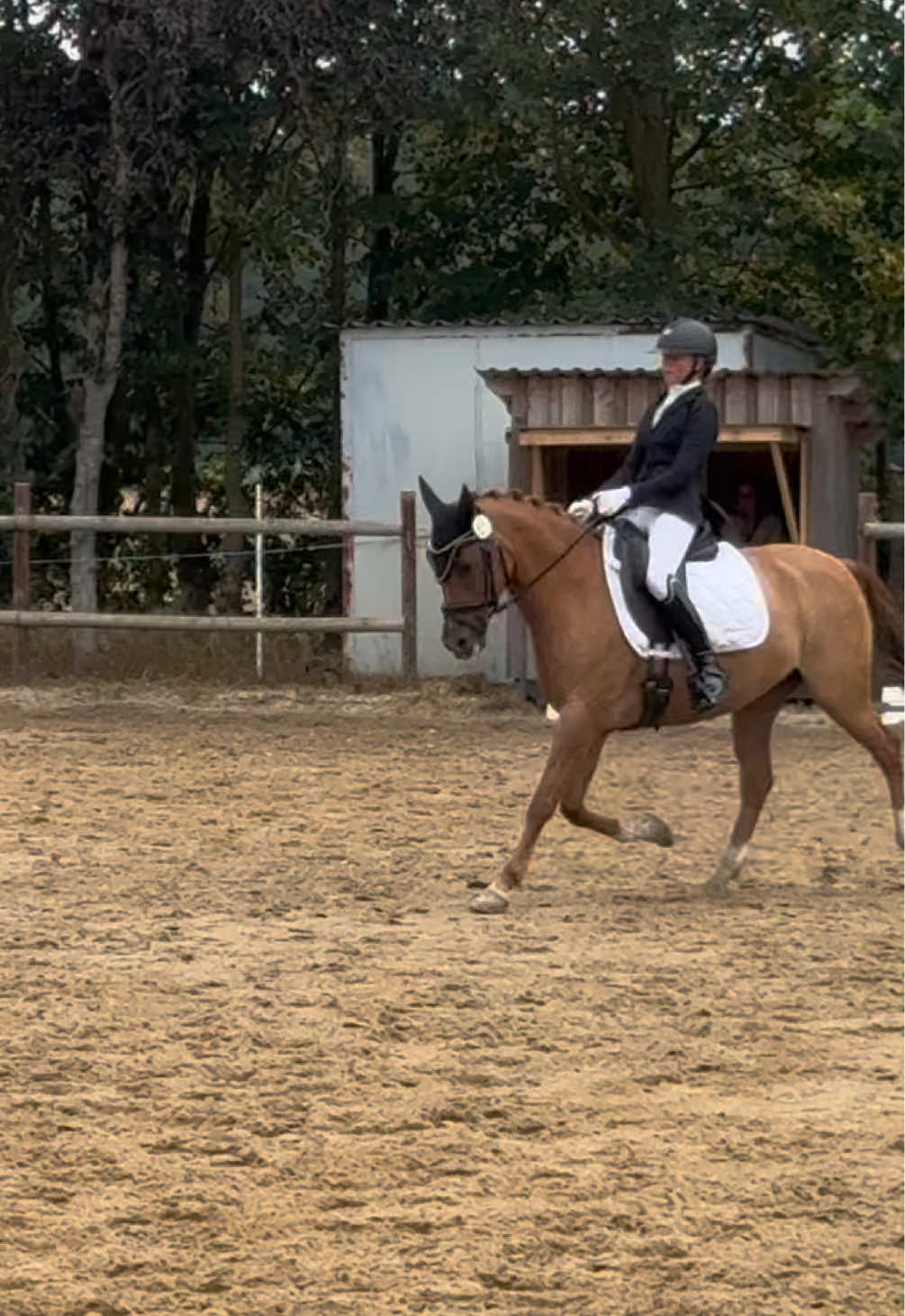 @hanni_bogi