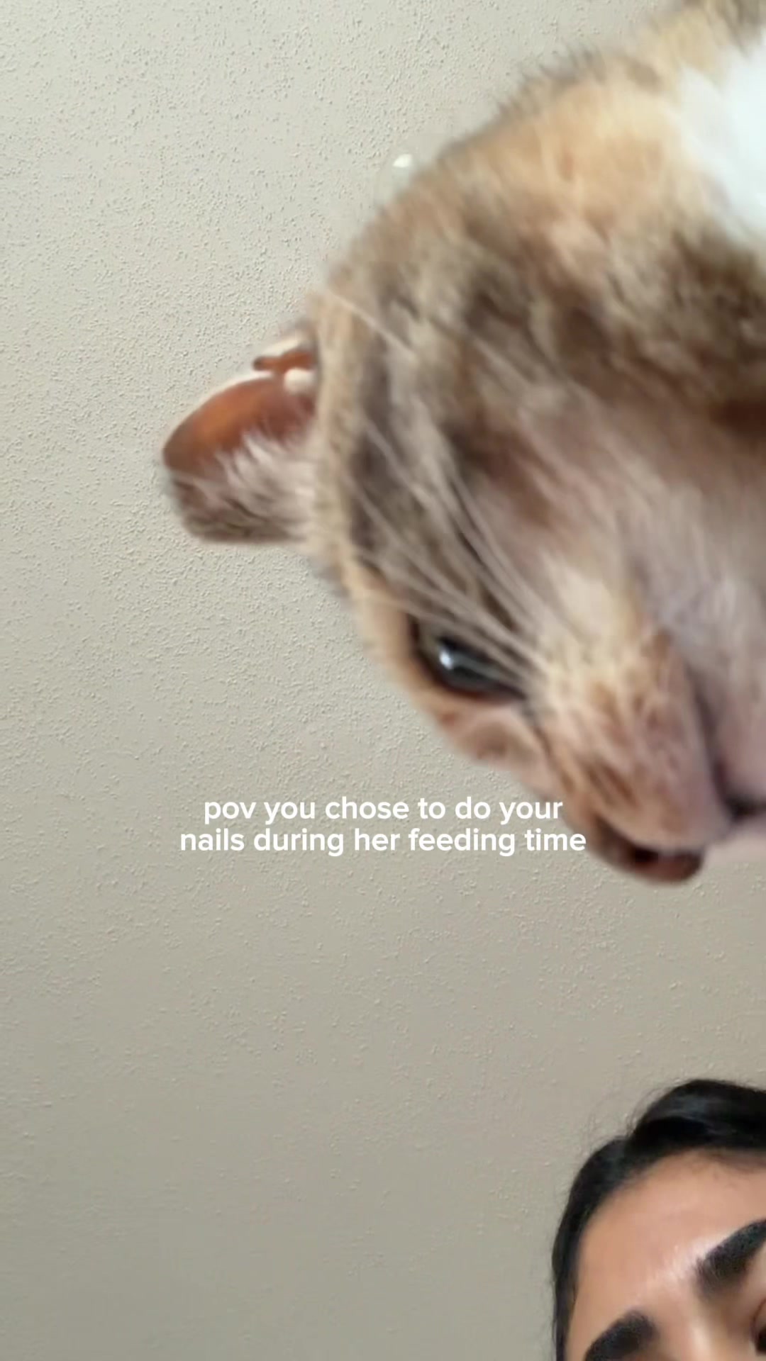 @Olive & June