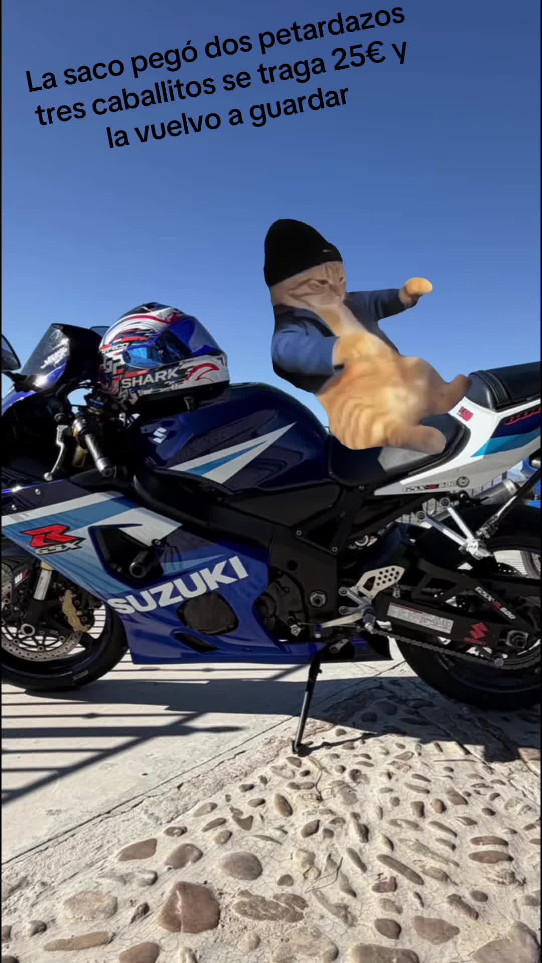@Fran_gsxr600