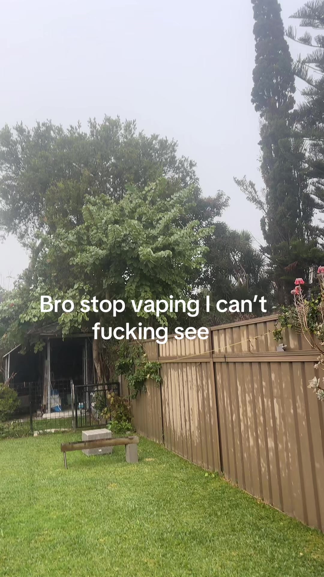 @toesarecool5