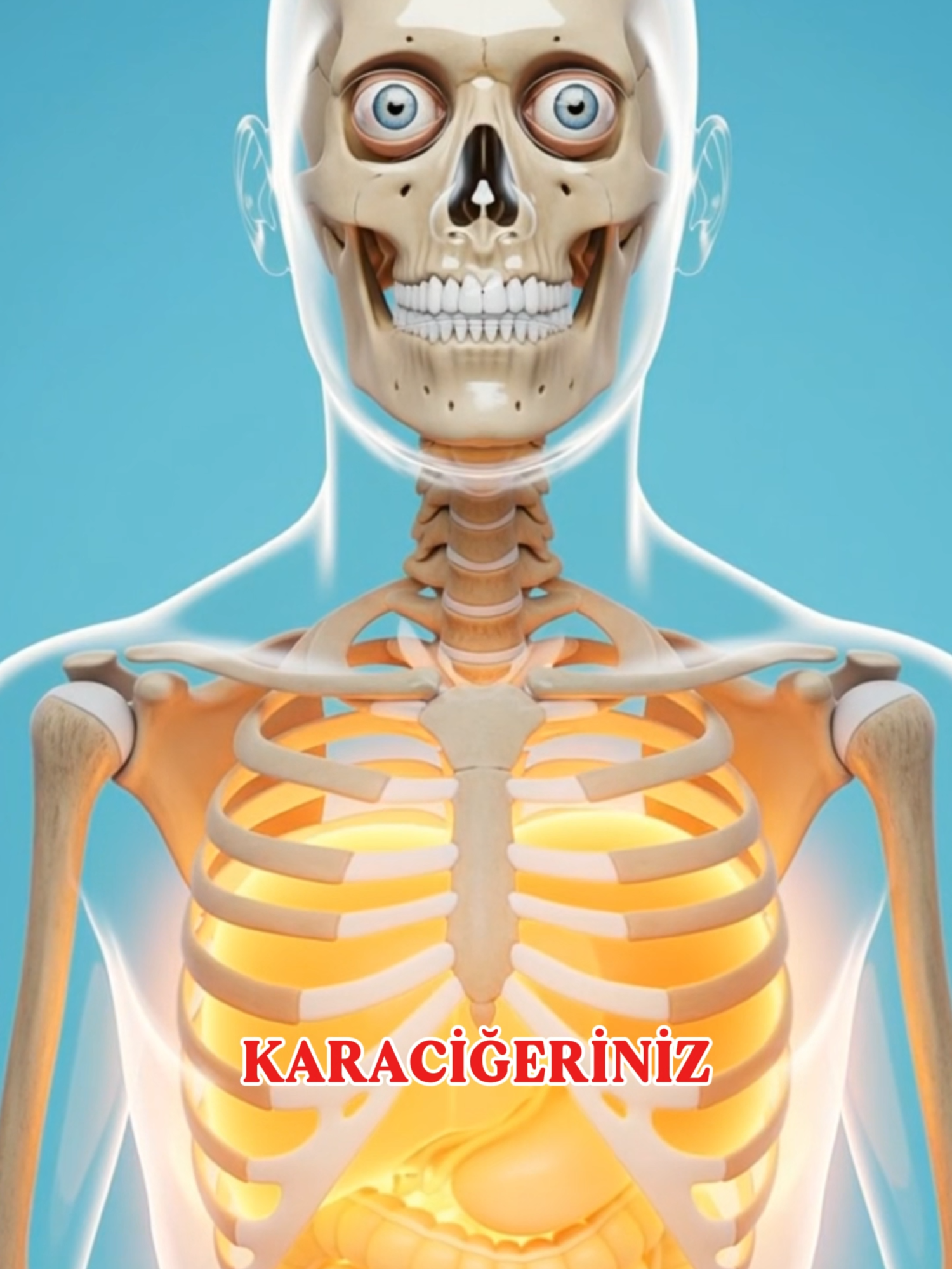 @Doğal Şifa Yurdu