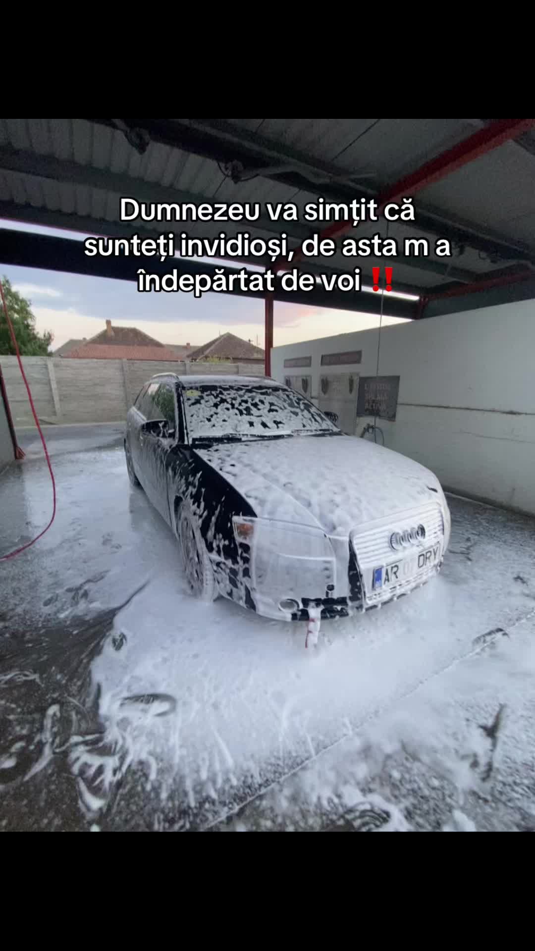 @dori trif