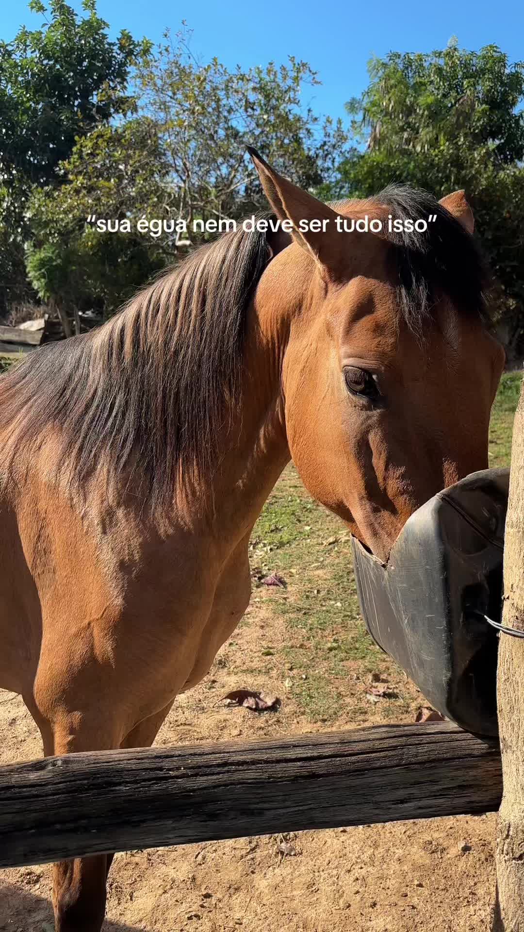 @dudxx