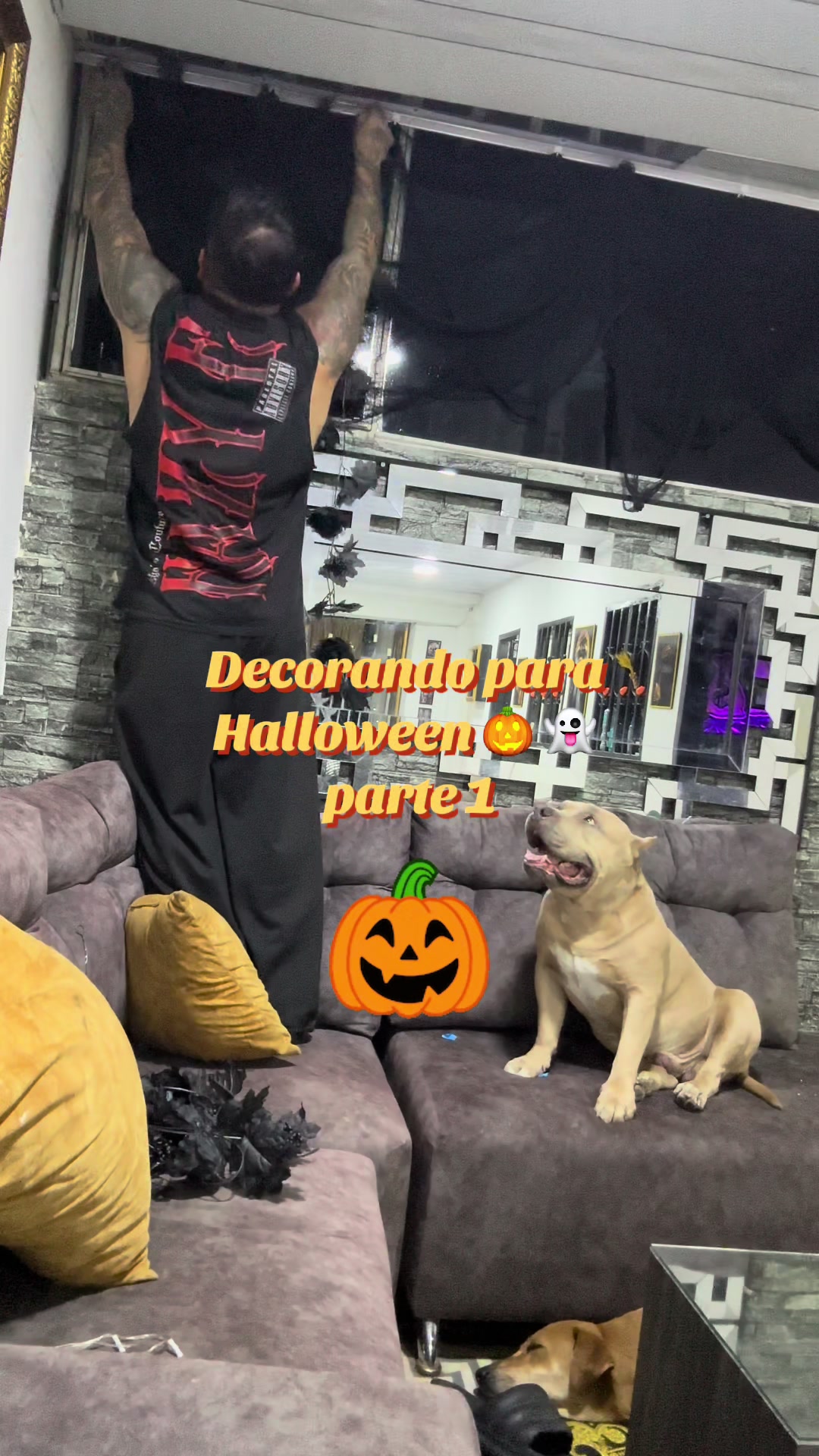 @Vikingo606