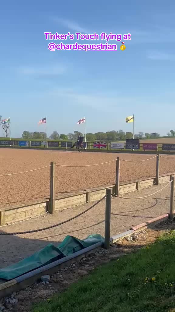 @markedwardsshowjumping