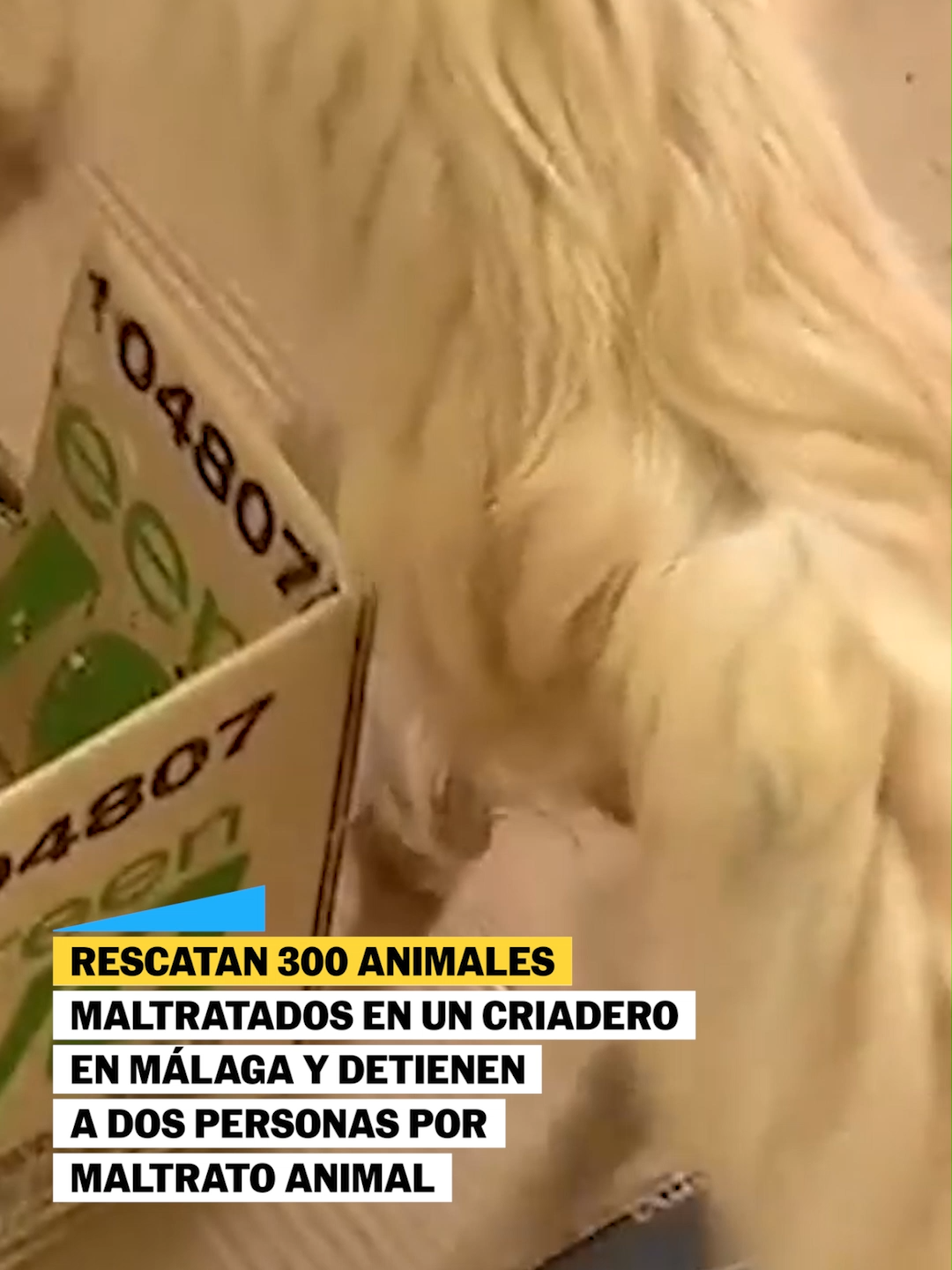 @El País