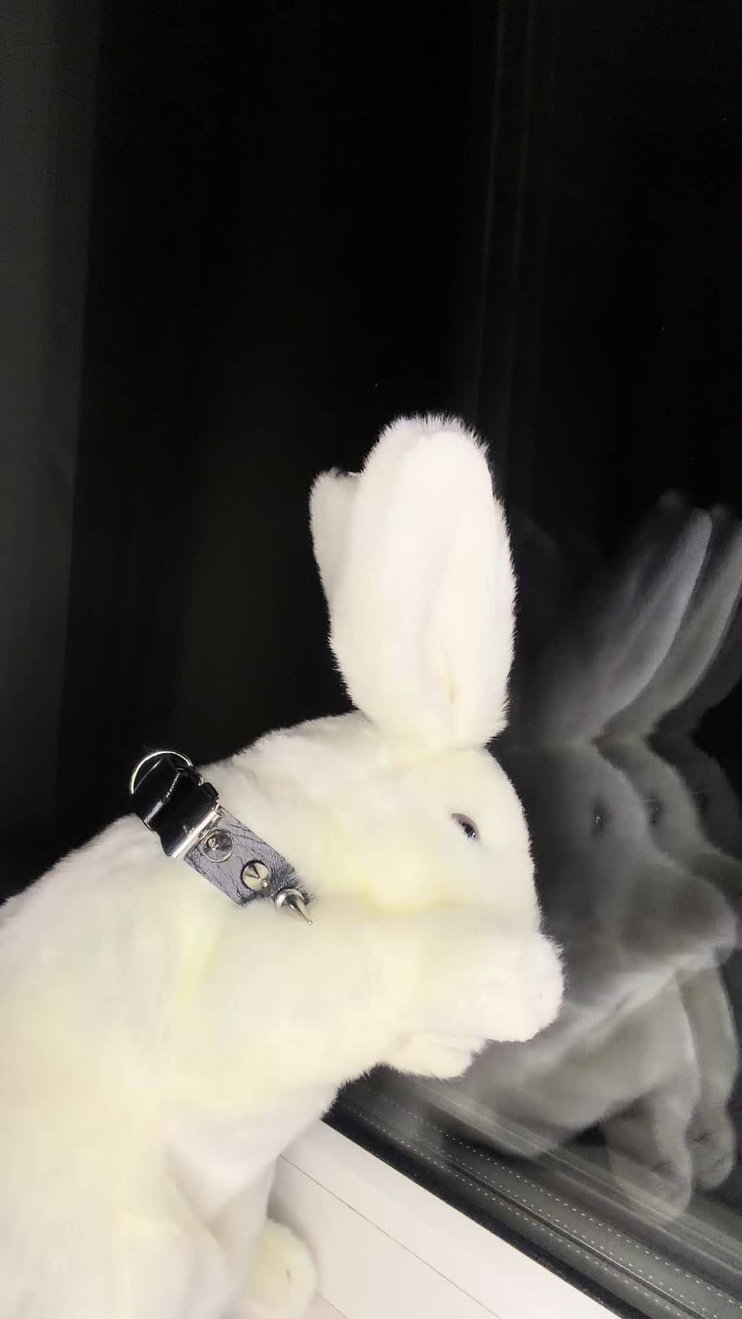 @๐ฅ Spike Bun ๐ฅ