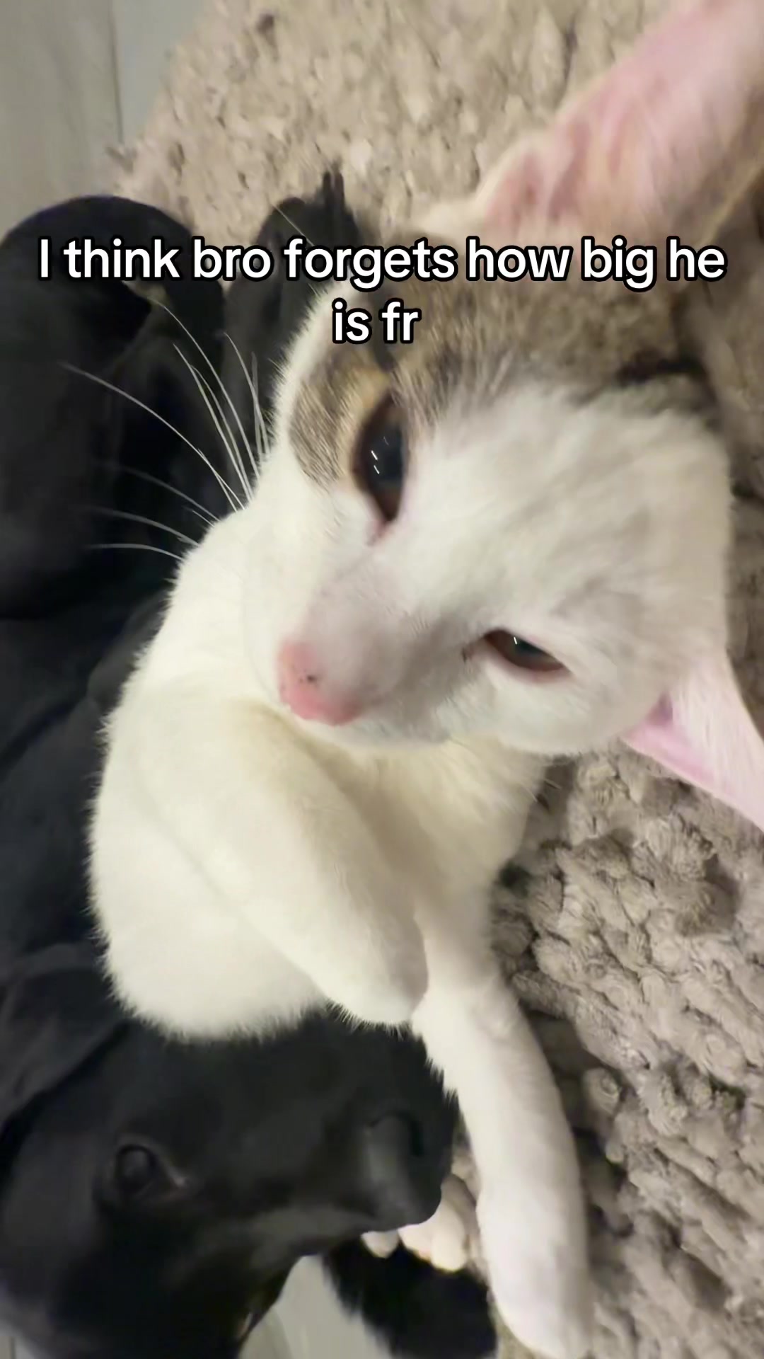 @Jcgoingthroughit