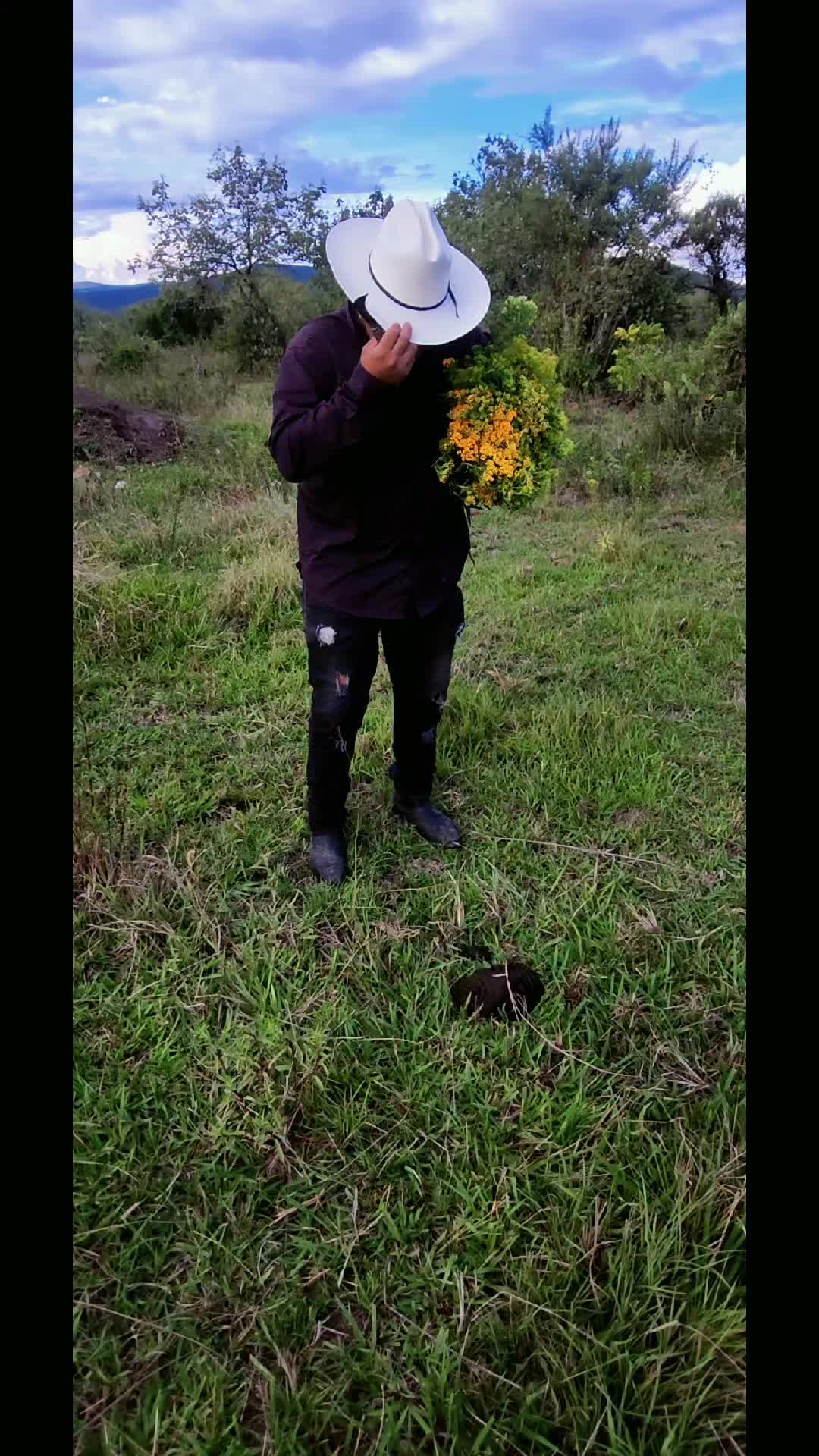 @Pedro salvador
