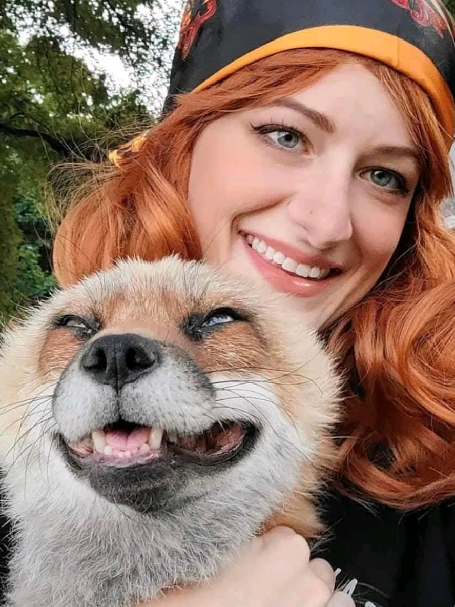 @saveafox