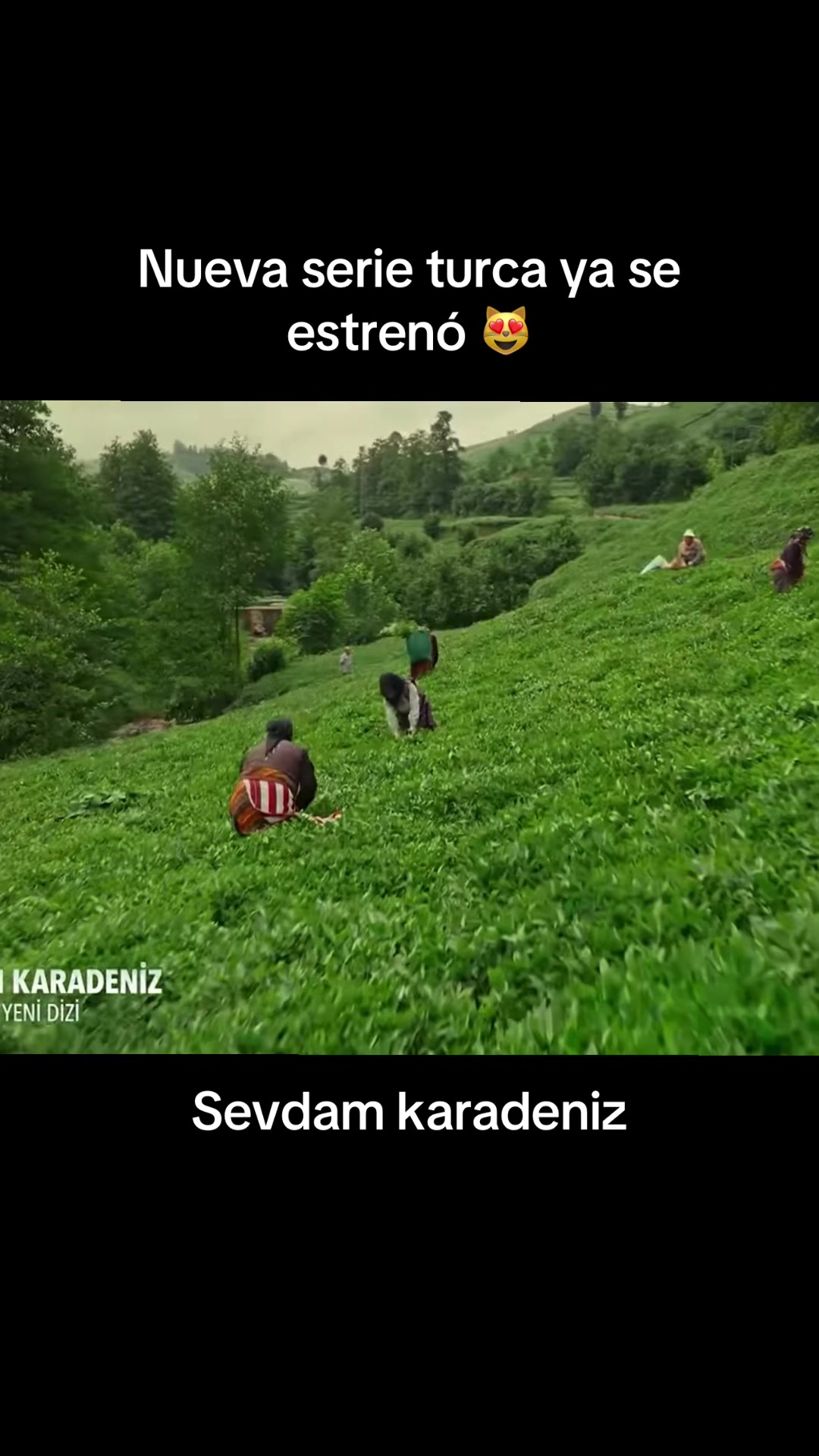 @Verdramas0718
